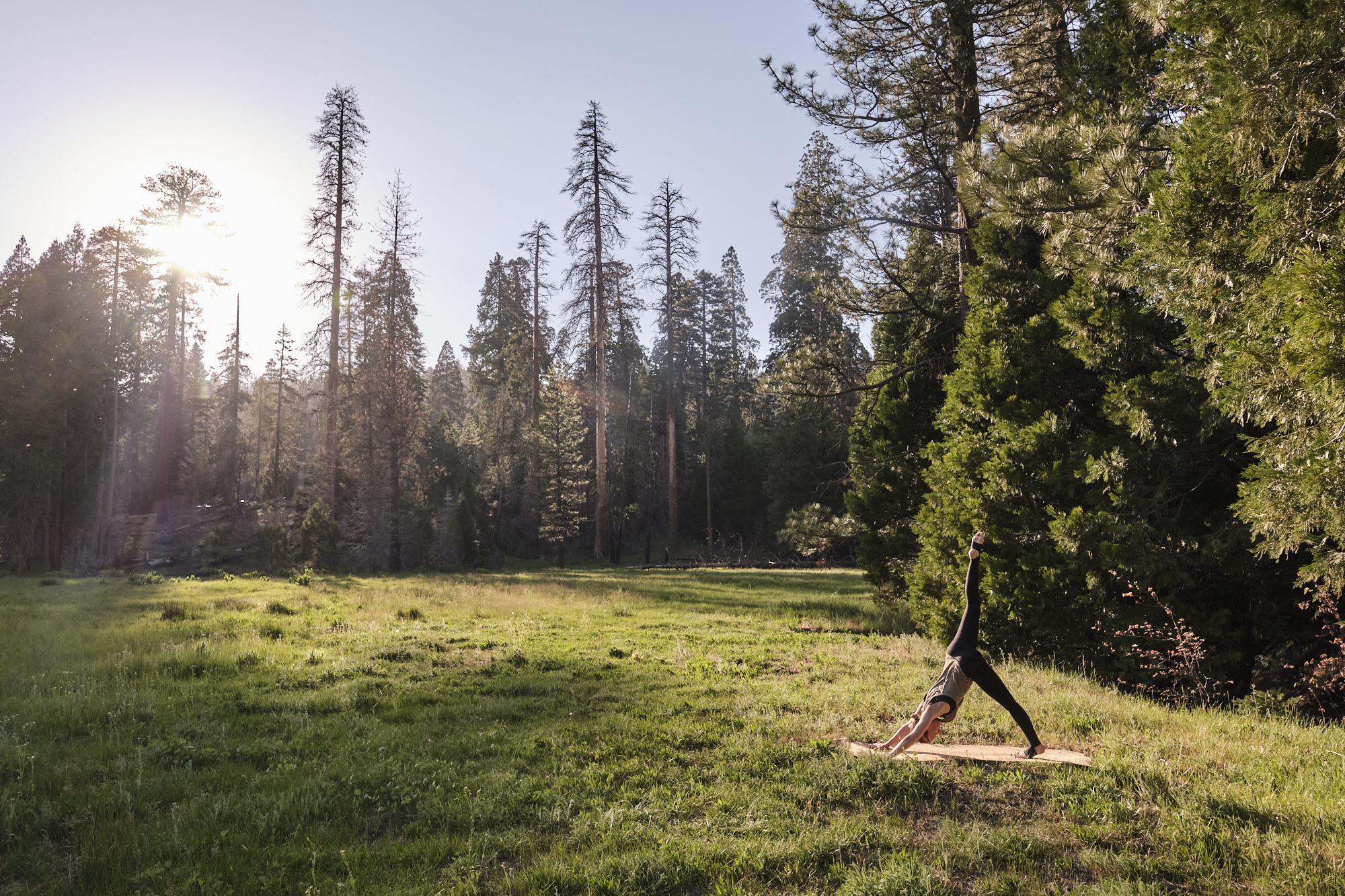 Regenerating Yoga Culture