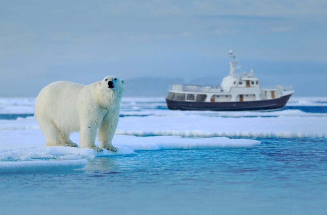 11140234_10204820005761094_2393316209914991888_n