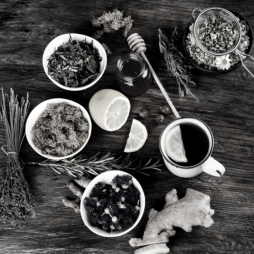 Elemental Balance Retreat  • Earth Element •