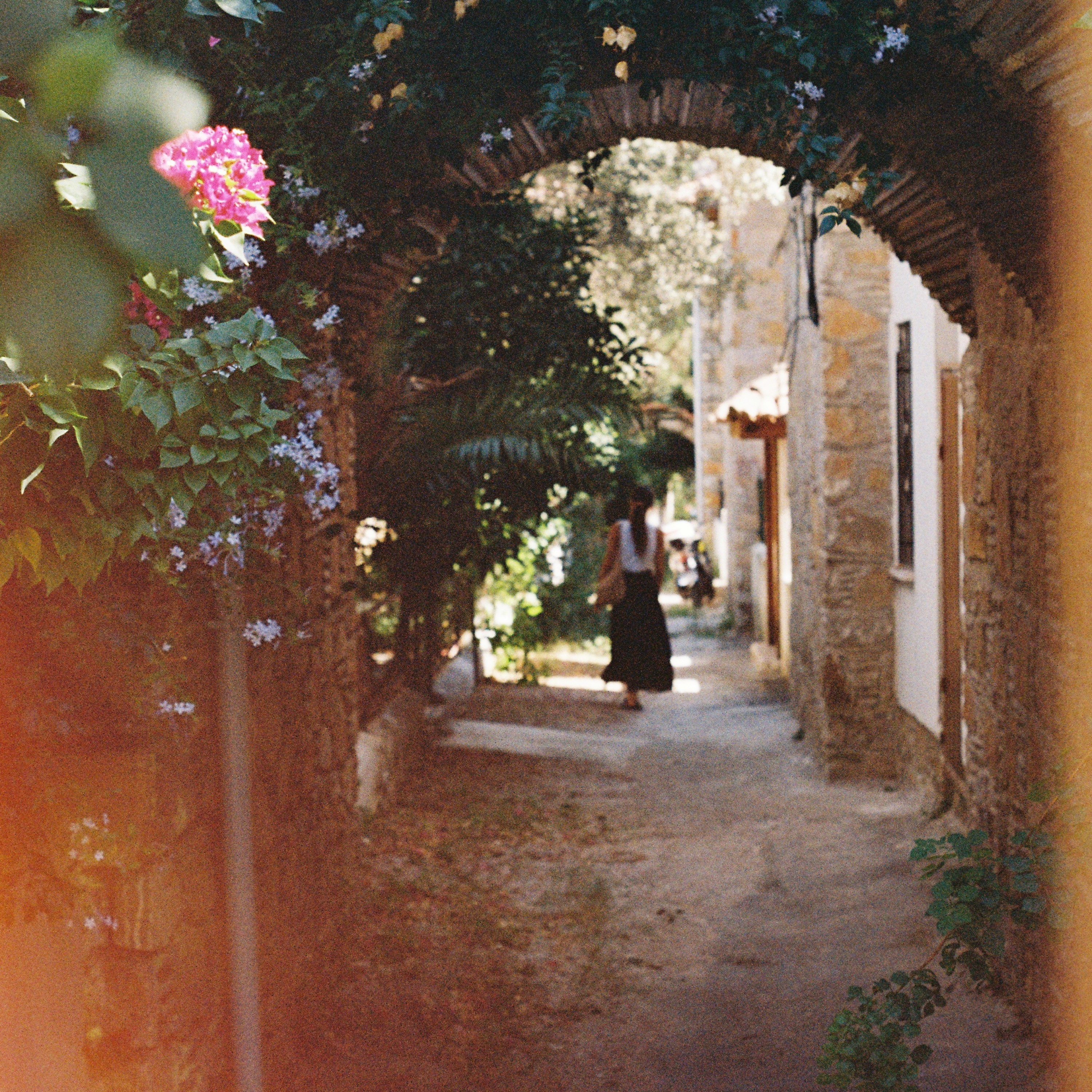 Picking Your Path: A Guide for Seekers