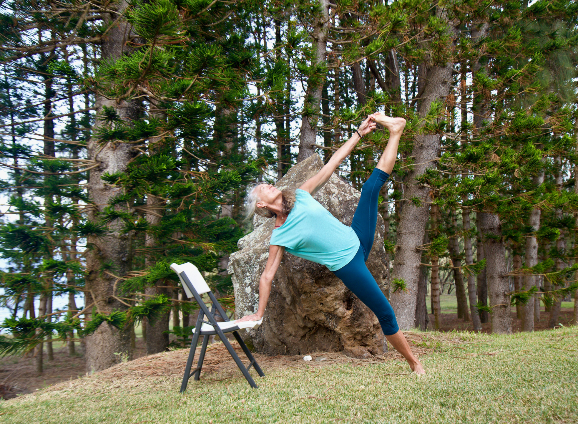 Teaching Mastery in Chair Yoga- Advanced skills for Instructors