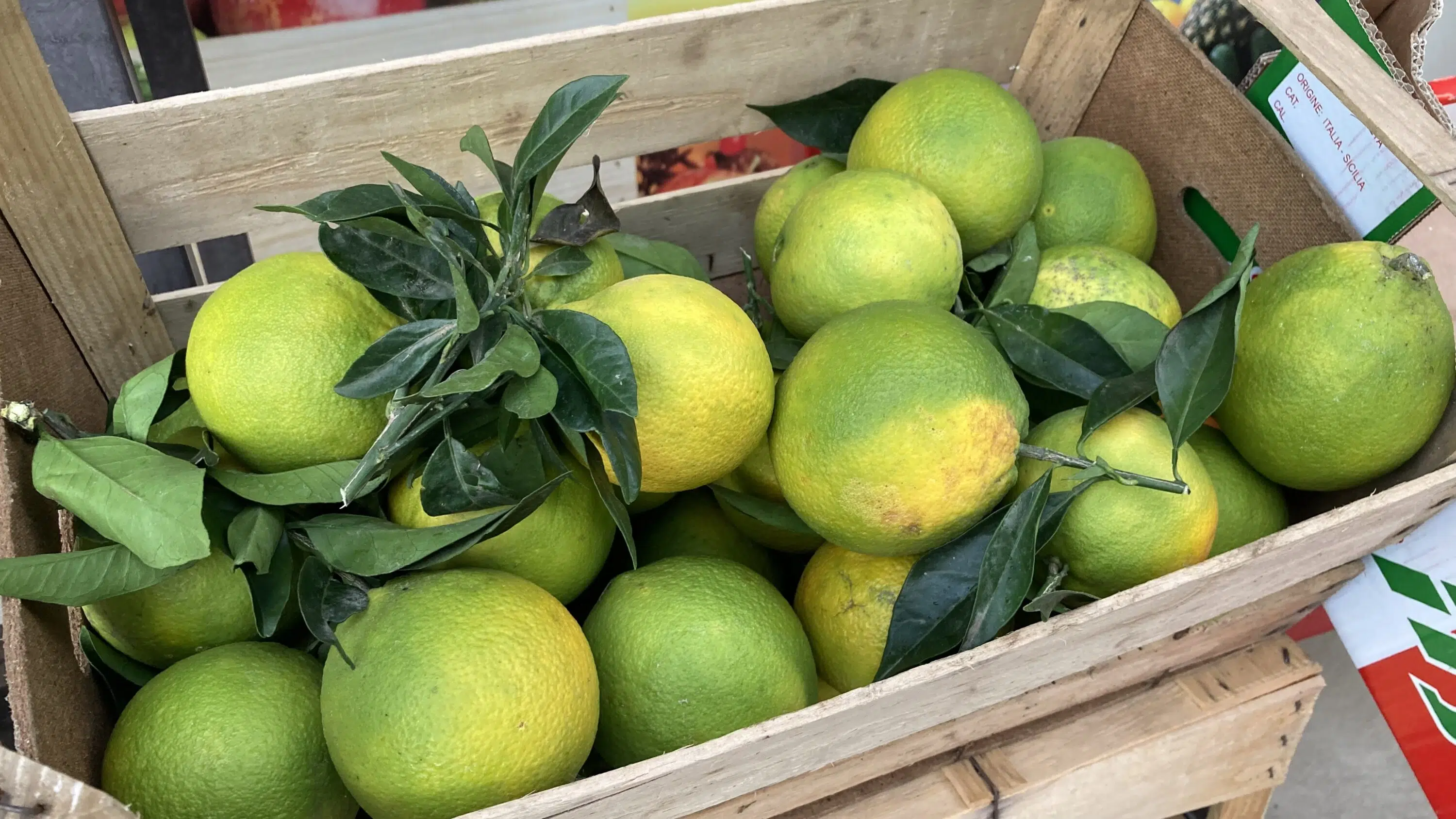 Mit dem Herzen sehen – Yoga & Intuitionstraining