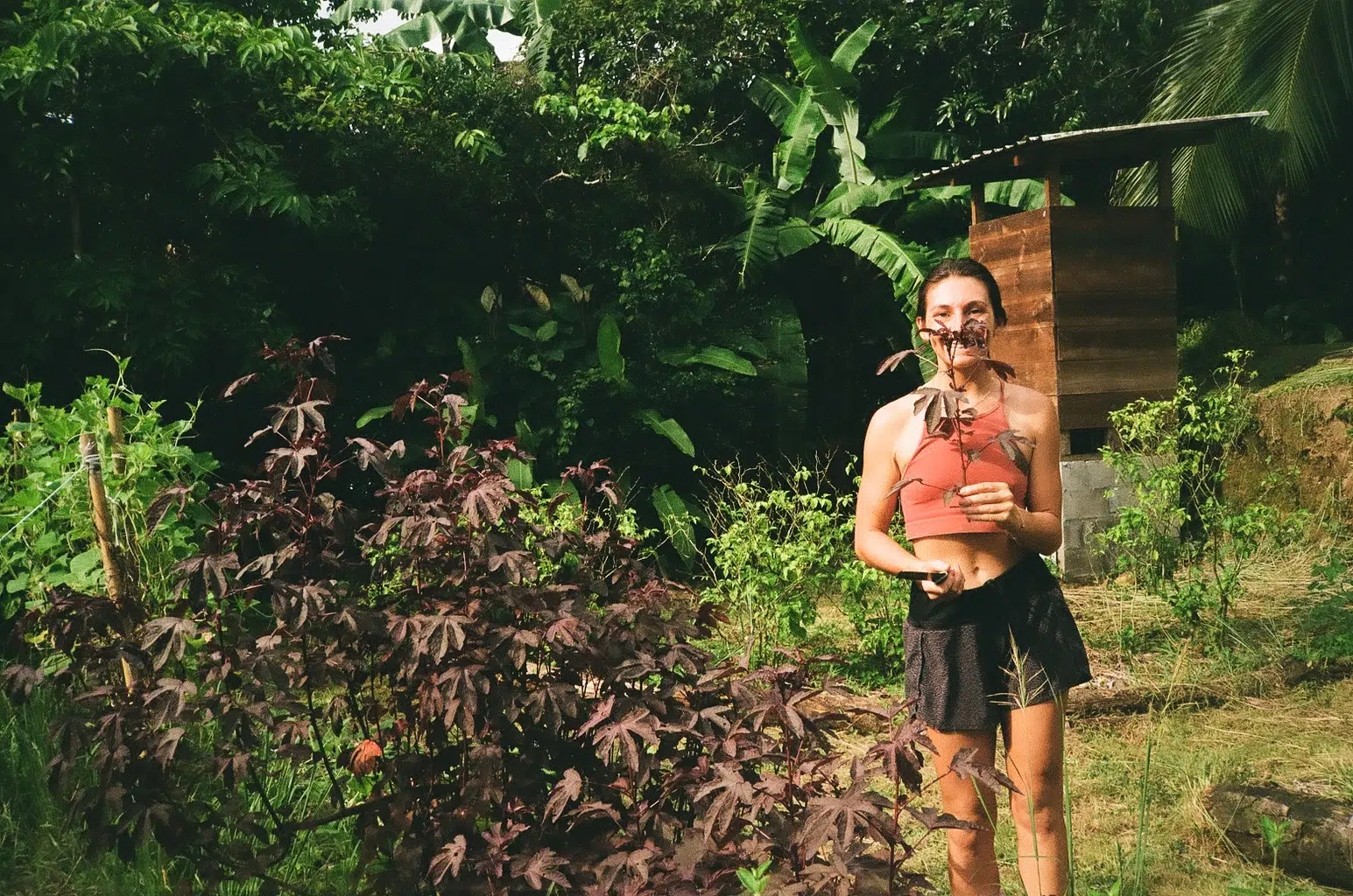 On Following Yoga, Surf, & Travel Dreams