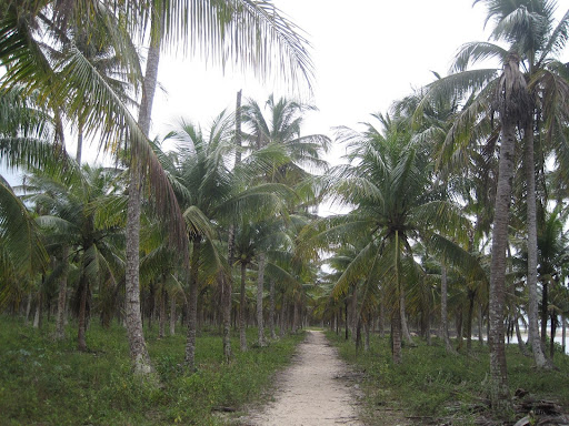 The Lost Art of Getting Lost