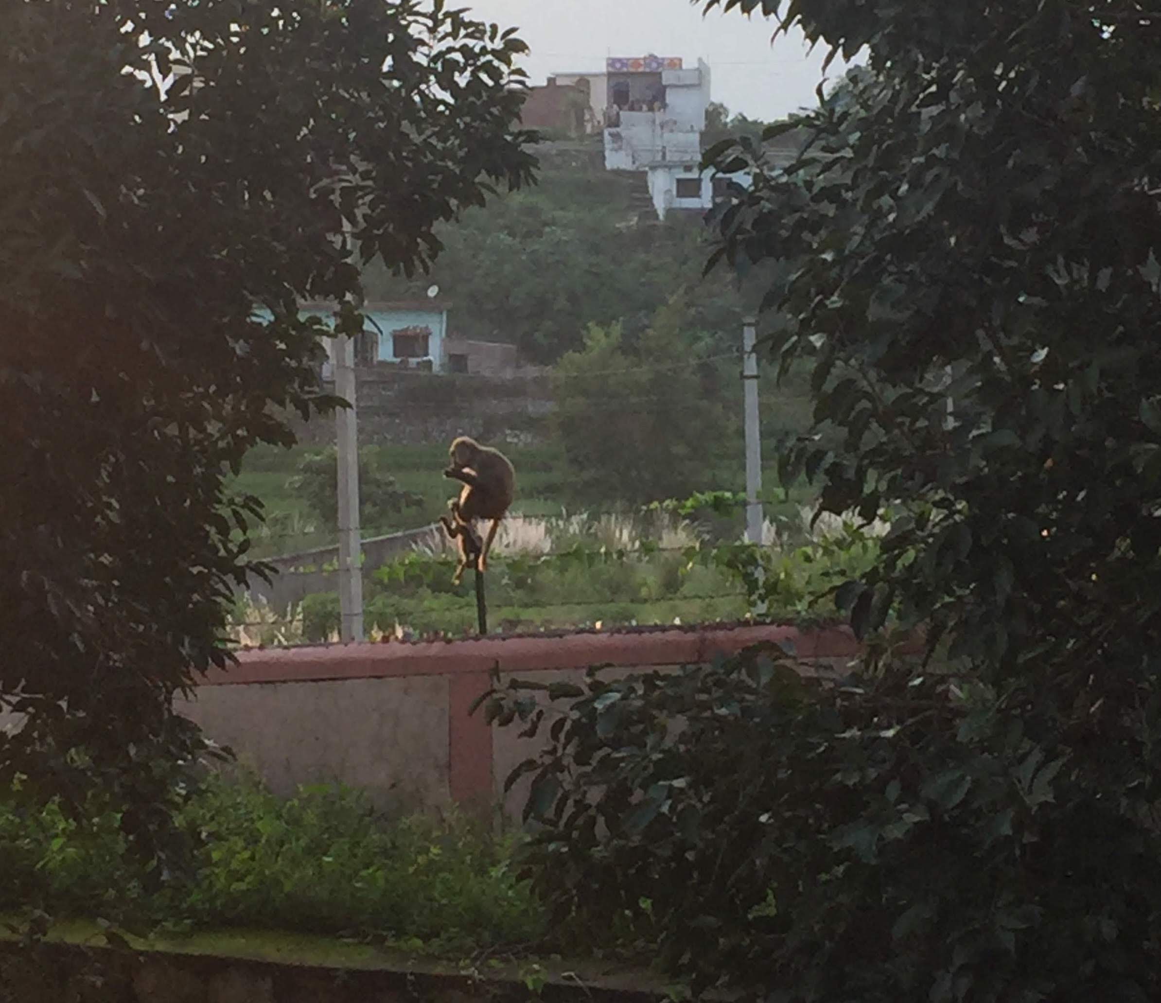 Discipline Versus Reality