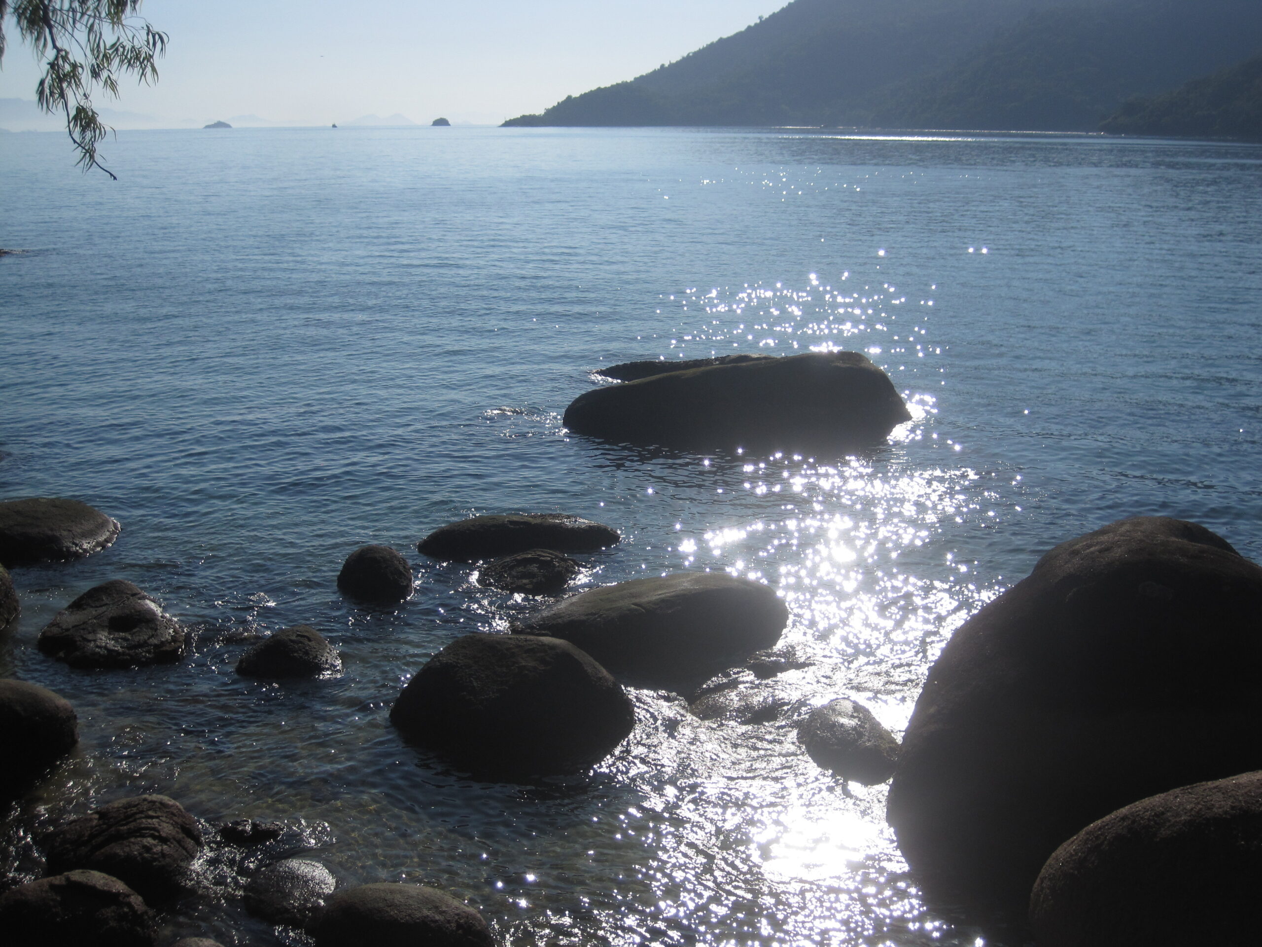 We Attract What We Are